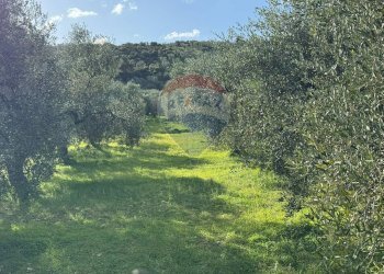 terreno - Terreno agricolo Lama Le Botti, Vieste - foto 12