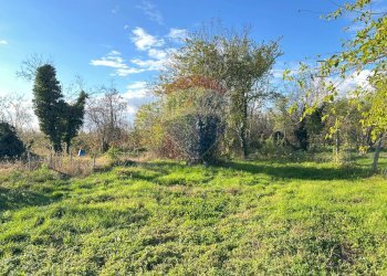 Giardino - Casa semi indipendente Turbigo - foto 31