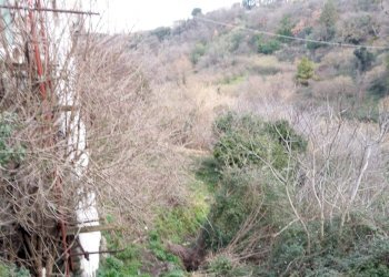 Foto 5 - Agricultural land strada Ortana
 
s.n.c., Viterbo - photo 5