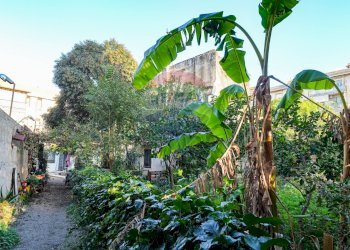 Giardino - Rustic Palermo - photo 17
