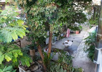 Giardino - Rustic Palermo - photo 21