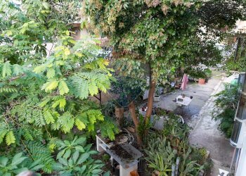 Giardino - Rustic Palermo - photo 22