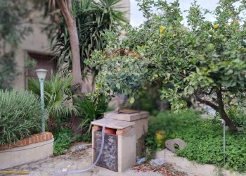 Giardino - Stabile - Palazzo via sorda sampieri
 
177, Modica - foto 8