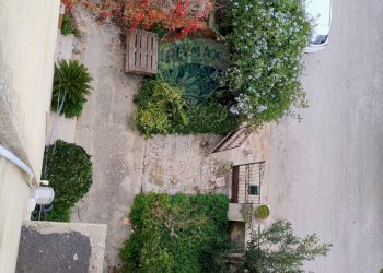 Giardino - Stabile - Palazzo via sorda sampieri
 
177, Modica - foto 19