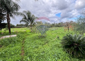 Giardino - Villa Contrada Paternella, Terrasini - foto 5