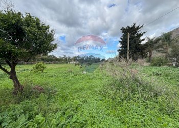 Giardino - Villa Contrada Paternella, Terrasini - foto 6