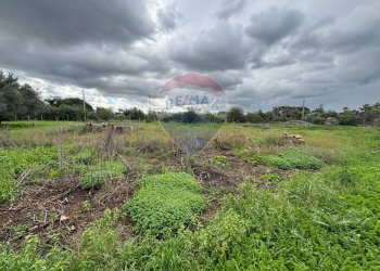 Giardino - Villa Contrada Paternella, Terrasini - foto 7
