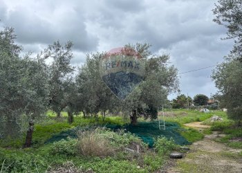Giardino - Villa Contrada Paternella, Terrasini - foto 8
