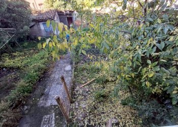 Giardino - Casa indipendente via Felice Cavallotti, Carpi - foto 19