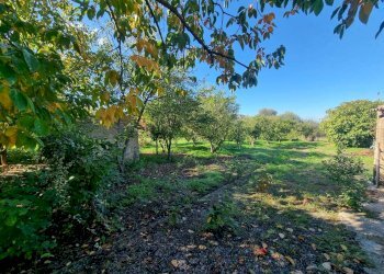 Foto 24 - Casa indipendente Via Grazia Deledda, Nuxis - foto 24