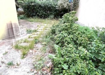 Giardino - Casa indipendente via Don Giovanni Minzoni, Montelupo Fiorentino - foto 5