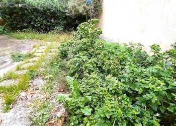 Giardino - Casa indipendente via Don Giovanni Minzoni, Montelupo Fiorentino - foto 25