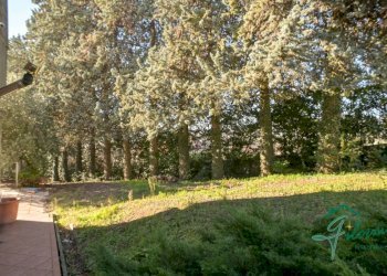 Giardino - Villa strada Provinciale Pecetto Chieri, Pino Torinese - foto 8