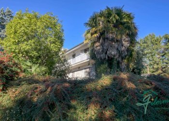 Giardino - Villa strada Provinciale Pecetto Chieri, Pino Torinese - foto 12