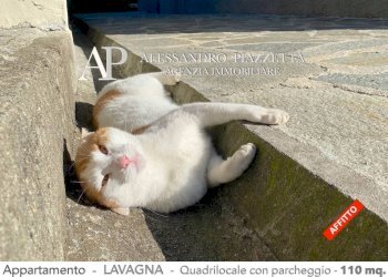 Altro - Appartamento Lavagna - foto 37