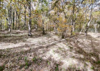 Foto 21 - Casa indipendente C.da Calvario
 
snc, Campobasso - foto 21