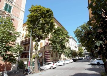 Zona - Quadrilocale corso Solferino, 5, Genova (zona Castelletto) - foto 33