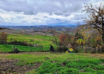 20251118_115308.jpg - Villa Strada Casatico 38, Langhirano - foto 6