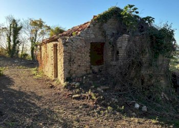 05 COLONNELLA - CASA DI CAMPAGNA VISTA MARE DA RIS - Casa indipendente Colonnella - foto 5