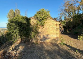 06 COLONNELLA - CASA DI CAMPAGNA VISTA MARE DA RIS - Casa indipendente Colonnella - foto 6