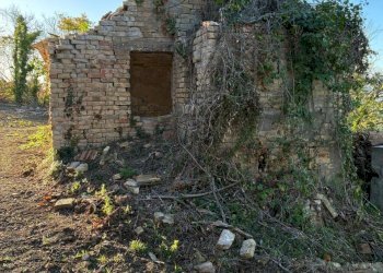 07 COLONNELLA - CASA DI CAMPAGNA VISTA MARE DA RIS - Casa indipendente Colonnella - foto 7