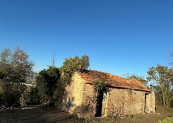 09 COLONNELLA - CASA DI CAMPAGNA VISTA MARE DA RIS - Casa indipendente Colonnella - foto 9