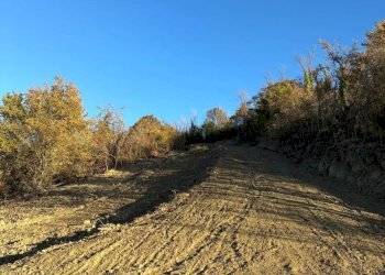 15 COLONNELLA - CASA DI CAMPAGNA VISTA MARE DA RIS - Casa indipendente Colonnella - foto 15
