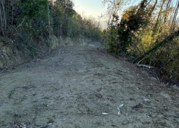 16 COLONNELLA - CASA DI CAMPAGNA VISTA MARE DA RIS - Casa indipendente Colonnella - foto 16