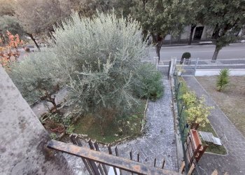 esterno 1.jpg - Appartamento Via G. Garibaldi 64, San Lorenzo in Campo - foto 3