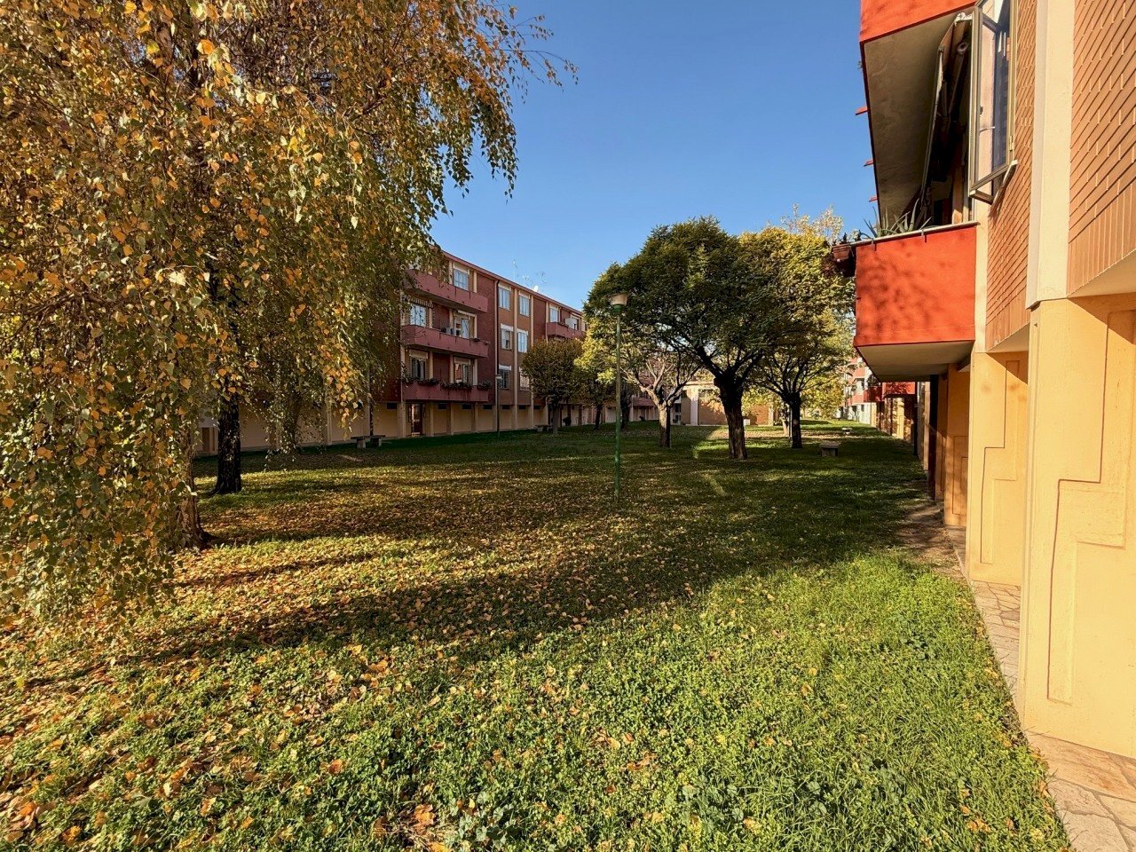 IMG_3221.jpeg - Appartamento Rovigo - foto 3