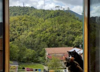 vista vendita appartamento fontanegli genova (5).j - Quadrilocale Salita alla Chiesa di Fontanegli  21, Genova (zona Struppa) - foto 29