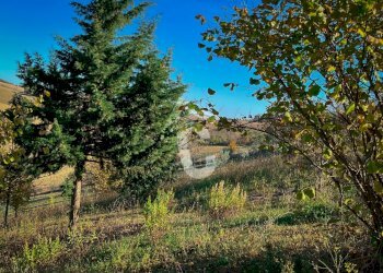 F30F98AA-A357-419B-8907-F3E27BFCD1FE.jpeg - Casale Senigallia - foto 7