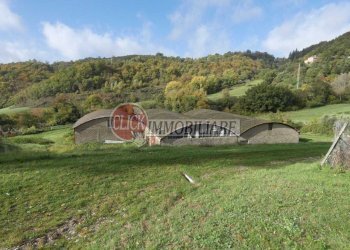 P1090509.JPG - Casa indipendente Scarperia e San Piero - foto 5