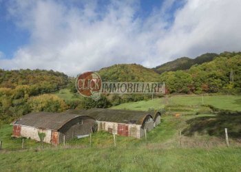 P1090519.JPG - Casa indipendente Scarperia e San Piero - foto 6