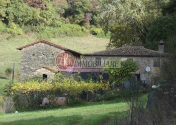 P1090517.JPG - Casa indipendente Scarperia e San Piero - foto 13