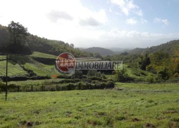 P1090521.JPG - Casa indipendente Scarperia e San Piero - foto 14