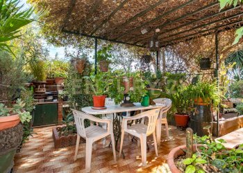 DSC08750.jpg - Appartamento Via Pulei 49A, Mascalucia - foto 1