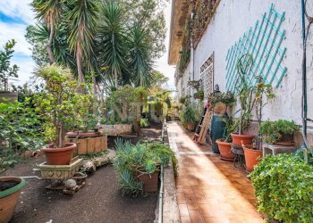 DSC08752.jpg - Appartamento Via Pulei 49A, Mascalucia - foto 21