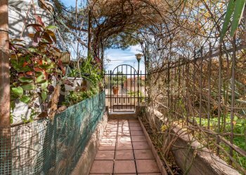 DSC08754.jpg - Appartamento Via Pulei 49A, Mascalucia - foto 22