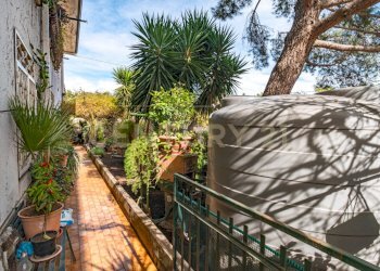 DSC08755.jpg - Appartamento Via Pulei 49A, Mascalucia - foto 23