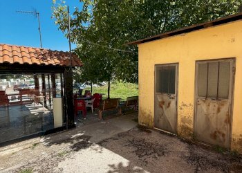 JOY_20250526_112300_364_photo.jpg - Bar - Tabacchi - Ricevitoria Viale Della Libertà, Avigliano - foto 10