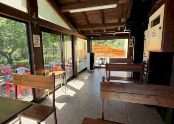 JOY_20250526_113054_650_photo.jpg - Bar - Tabacchi - Ricevitoria Viale Della Libertà, Avigliano - foto 17