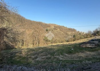 Independent house Regione Creviolo, Loazzolo - photo 6