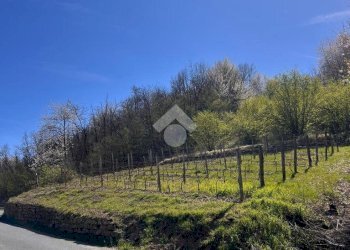 Casa indipendente Regione Creviolo, Loazzolo - foto 8