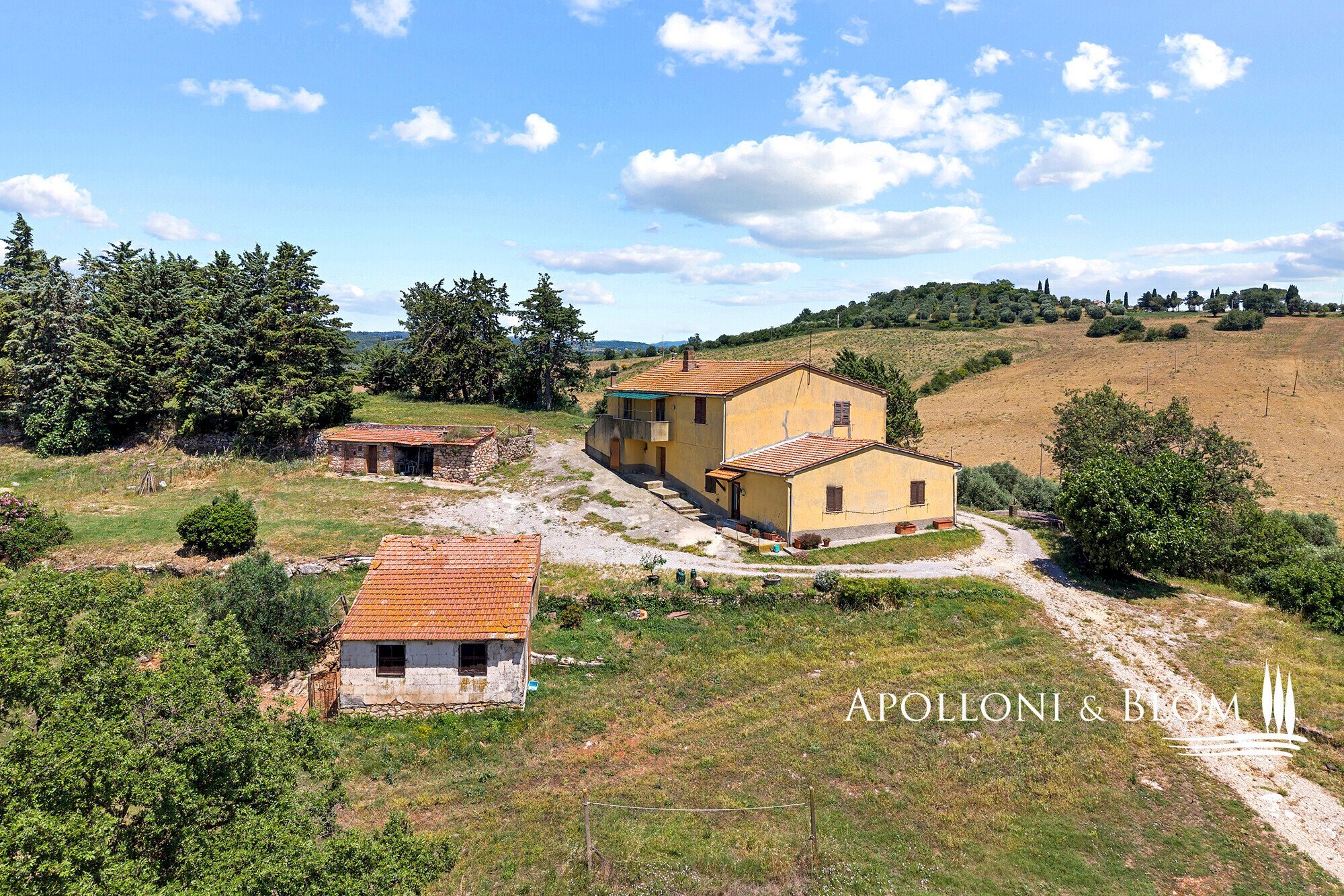 Casale Maglianese, 33, Magliano in Toscana - foto 1