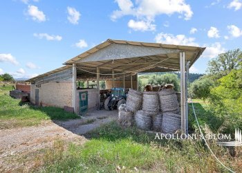 Casale Maglianese, 33, Magliano in Toscana - foto 9