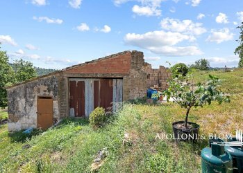 Casale Maglianese, 33, Magliano in Toscana - foto 10