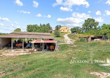 Casale Maglianese, 33, Magliano in Toscana - foto 13