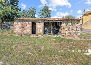 Casale Maglianese, 33, Magliano in Toscana - foto 14
