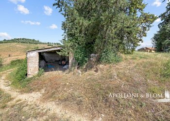 Casale Maglianese, 33, Magliano in Toscana - foto 15
